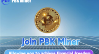 PBK Miner